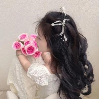 盐湖城朋克