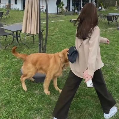潇洒抢一回